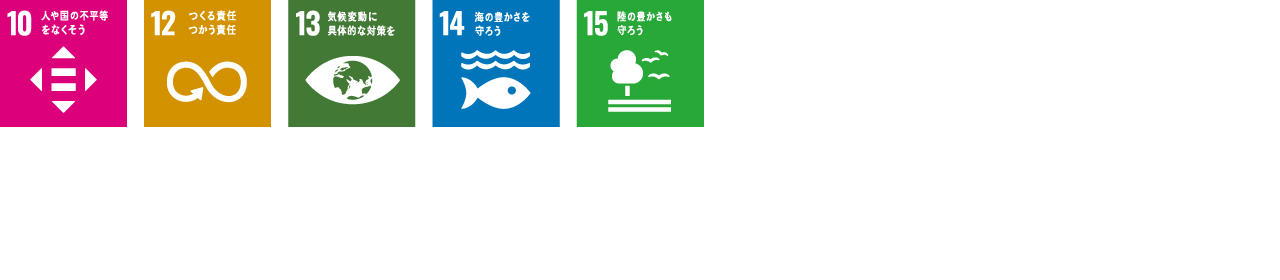 SDG ICON