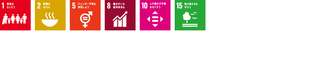 SDG ICON