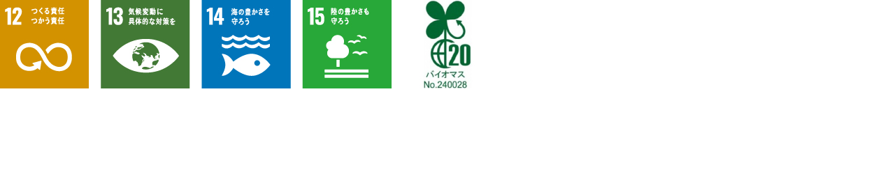 SDG ICON