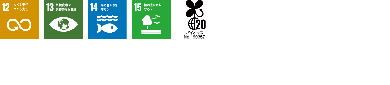 SDG ICON