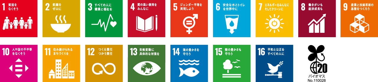 SDG ICON