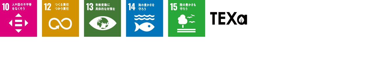 SDG ICON
