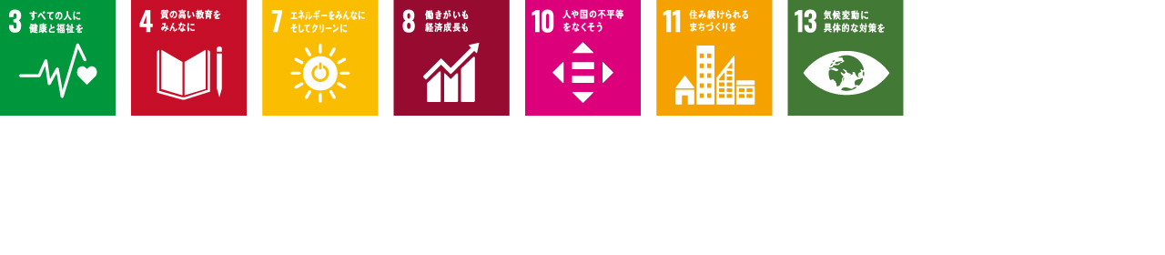 SDG ICON