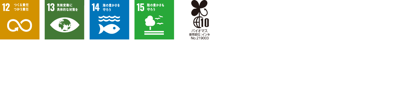 SDG ICON
