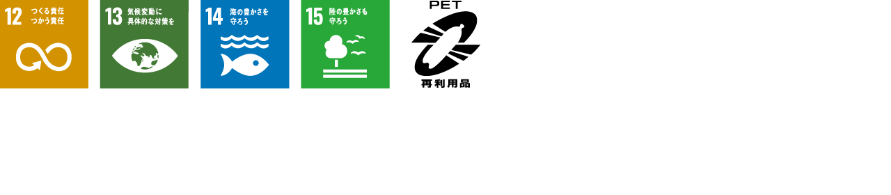 SDG ICON