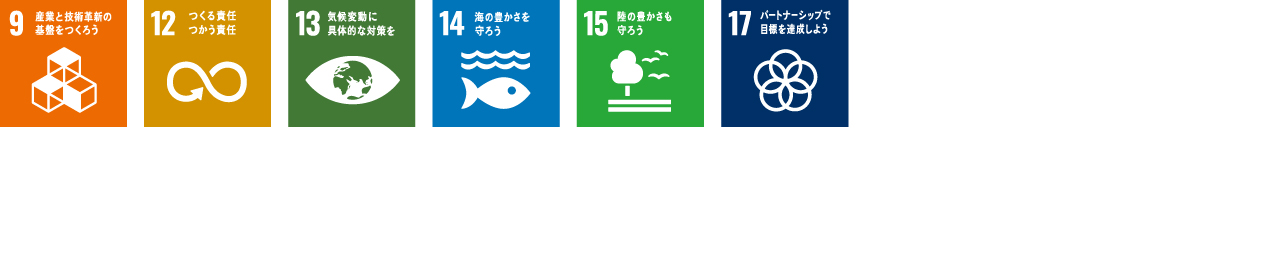 SDG ICON