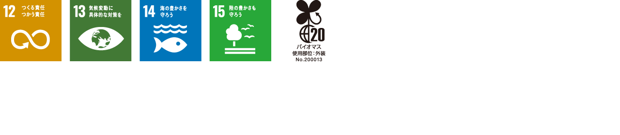 SDG ICON