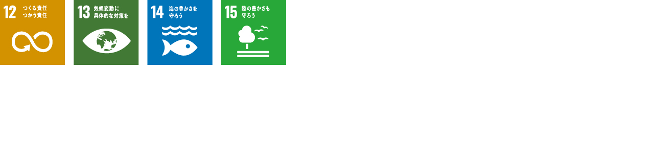SDG ICON